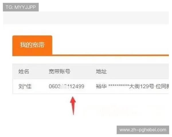 PG娱乐网站登录账号忘记密码怎么办，详细步骤帮你快速找回账号安全保障